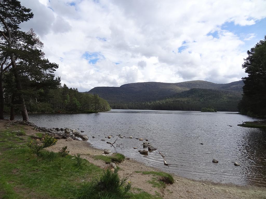 2014_06_Scotland_Day_04_Perth_and_Rothiemurchus (36).JPG